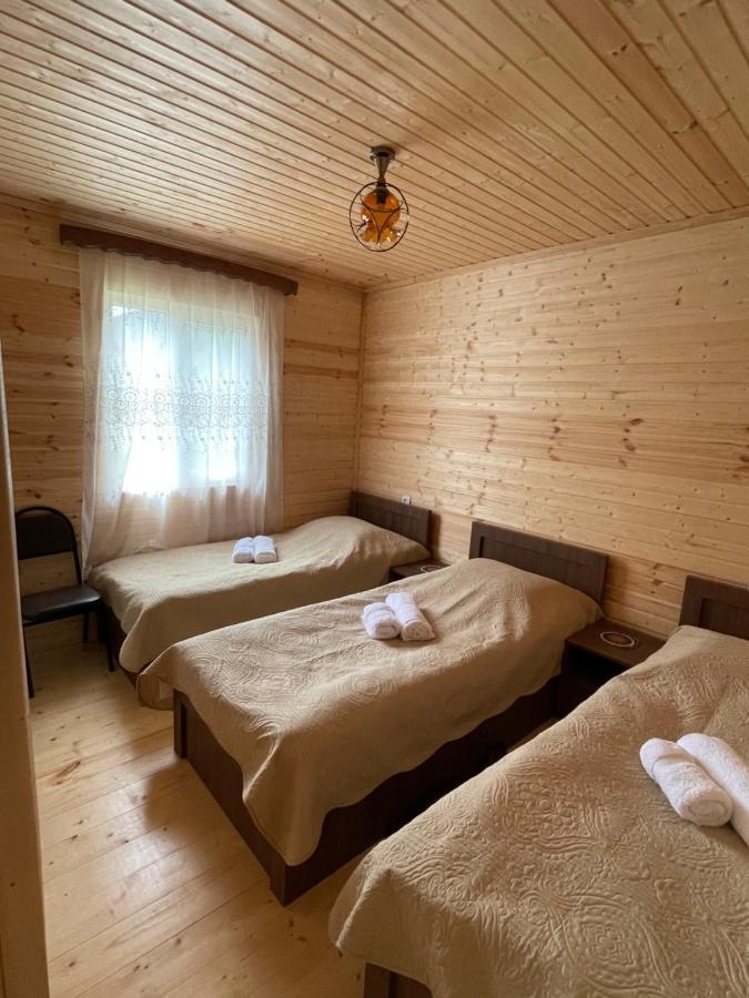 카즈베기 Warm House 게스트하우스 외부 사진