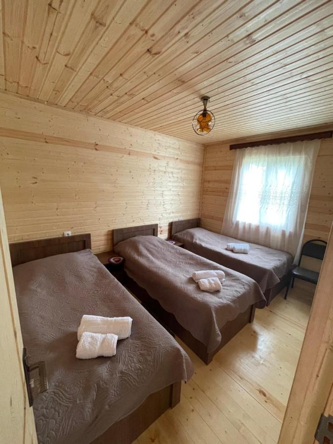 카즈베기 Warm House 게스트하우스 외부 사진